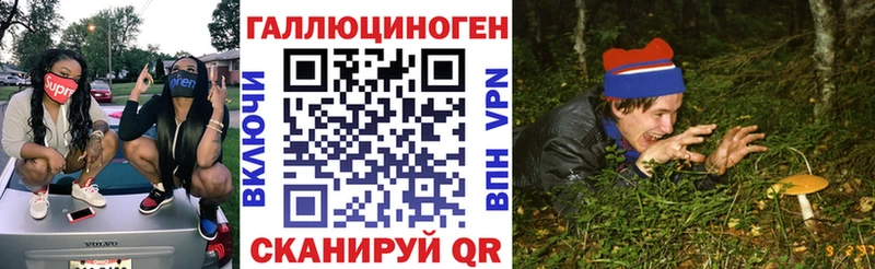 Псилоцибиновые грибы Cubensis Великие Луки
