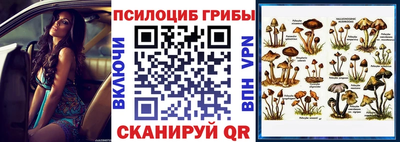 цены   Великие Луки  Галлюциногенные грибы Cubensis 