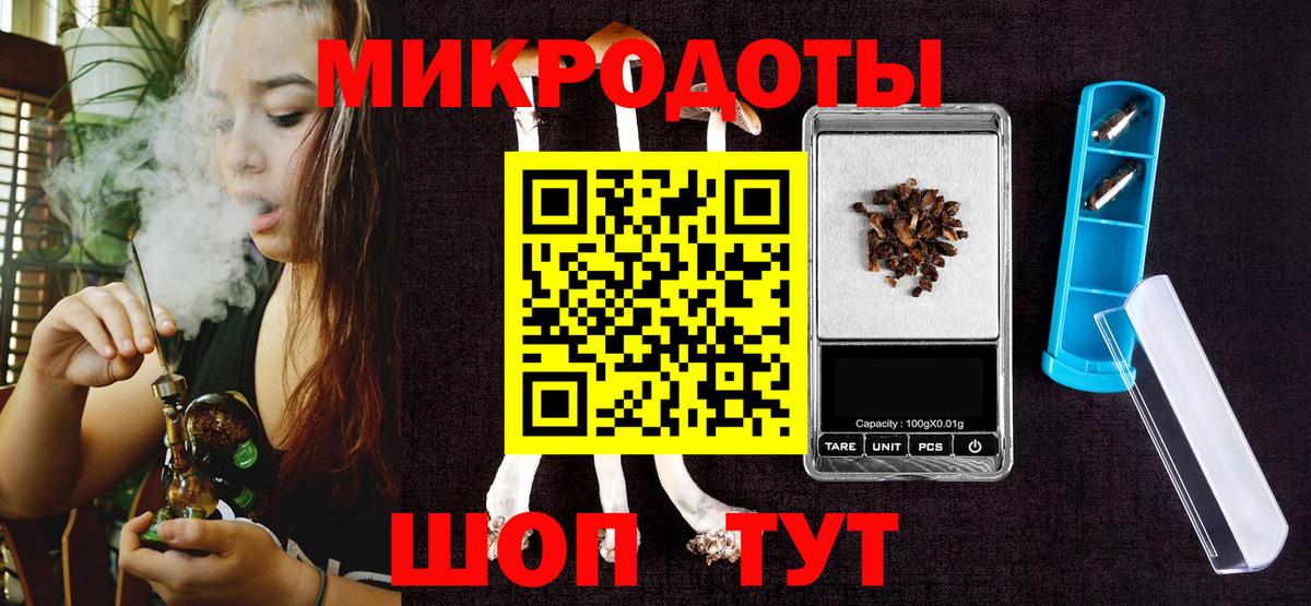 Галлюциногенные грибы Psilocybe Великие Луки
