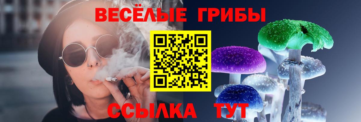 магазин  наркотиков  Вход с VPN  Великие Луки  Псилоцибиновые грибы Cubensis 